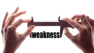Blog: Just Wonderful: Why We Focus on Our Weaknesses (and Fail to Develop Our Strengths)