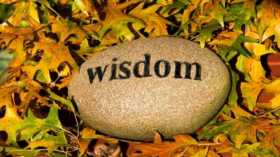 Blog The Wisdom of the Body: Lessons Learned from a Hospital Stay
